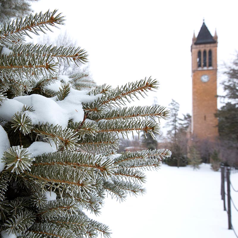 Snowy view of the campanile.
