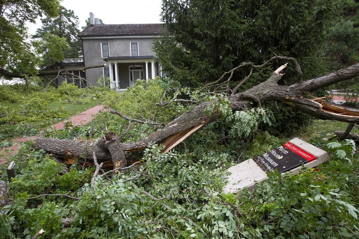 Derecho tree damage in front of Farm House Museum.